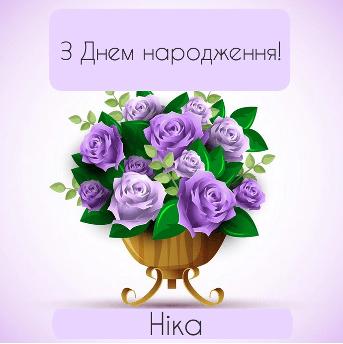 Привітання з днем народження Ніки у вигляді букету фіолетових троянд.