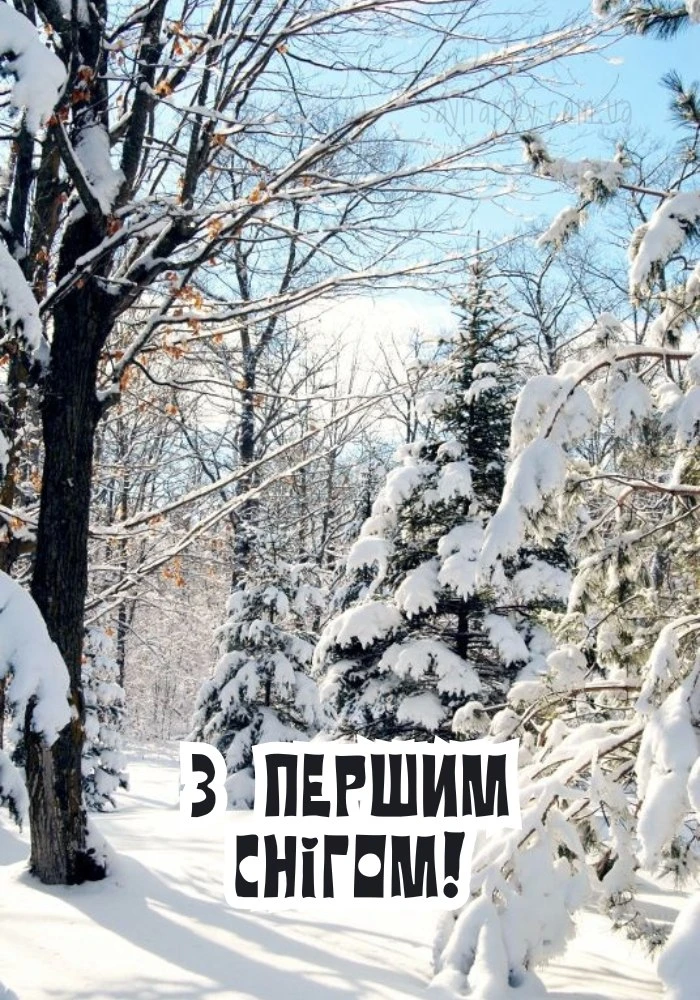 Перший сніг у лісі з вітанням гарного дня