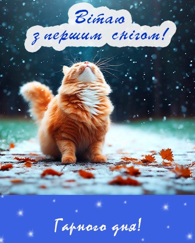 Кіт на сніжному подвір'ї з привітанням першого снігу.