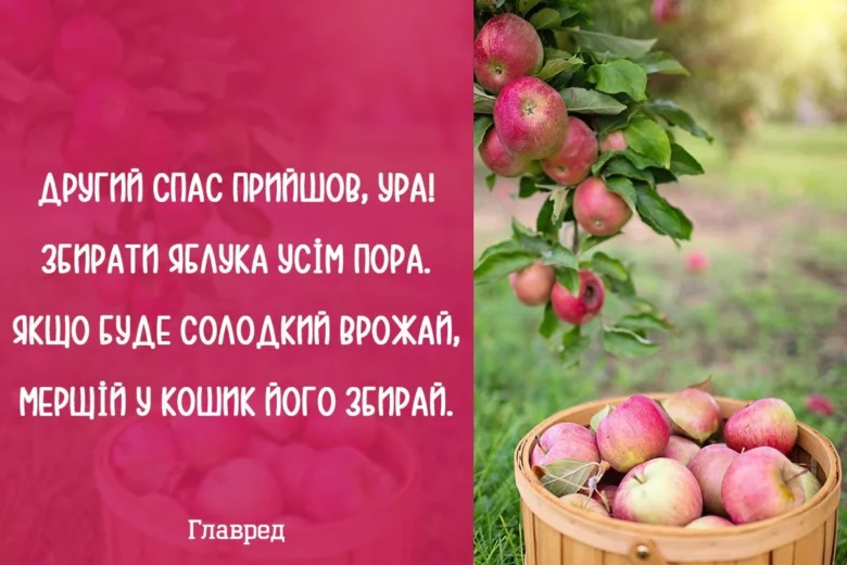 Яблучний Спас: червоні яблука в кошику та на дереві
