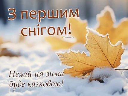 Перший сніг на жовтих листках, привітання українською.