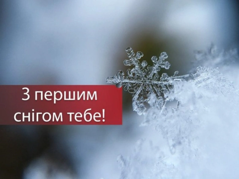 Перший сніг: красивий кристал на гілці з привітанням.