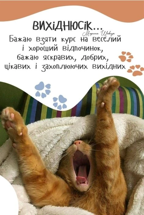 Кіт розтягується з побажаннями веселих вихідних.