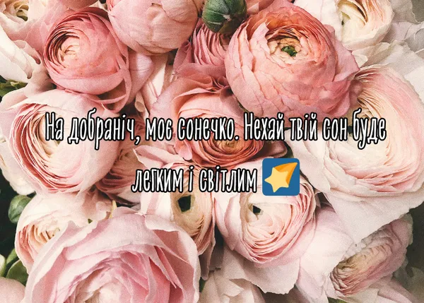 Розові троянди з українським привітанням на добраніч